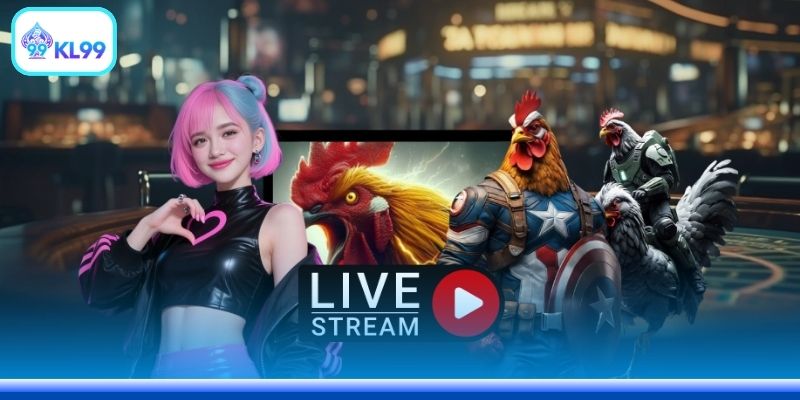 Xem Gà Đá Cựa Sắt Live Tại Nhà Cái Uy Tín Nhất Năm 2026 - PLAYZEN