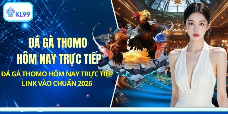 Đá Gà KL99 - Trực Tiếp Trường Gà Kịch Tính Mỗi Ngày - PLAYZEN