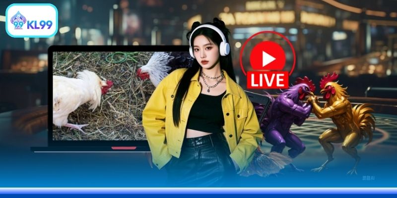 Đá Gà Trực Tuyến Tiền Lớn: 5 Bí Quyết Chiến Thắng Nhanh - PLAYZEN