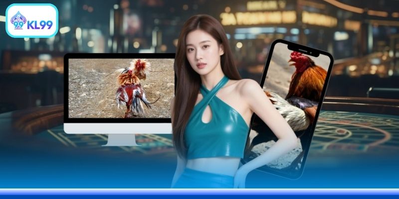 Đá Gà Trực Tuyến Tiền Lớn: 5 Bí Quyết Chiến Thắng Nhanh - PLAYZEN