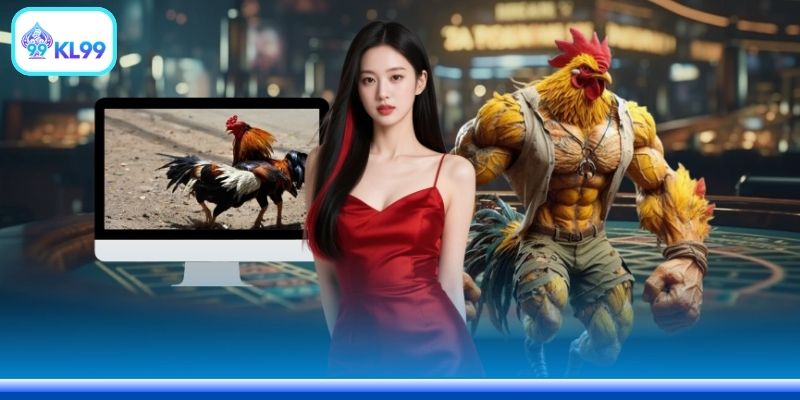Đá Gà Trực Tuyến Tiền Lớn: 5 Bí Quyết Chiến Thắng Nhanh - PLAYZEN