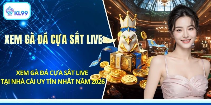 Đá Gà KL99 - Trực Tiếp Trường Gà Kịch Tính Mỗi Ngày - PLAYZEN